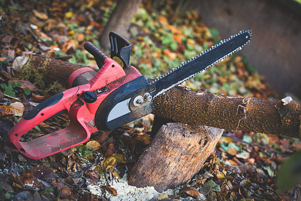 Best Lawn Maintenance Plans  in American Fork, UT